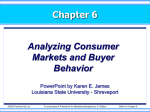 kotler06exs-Analyzing Consumer Markets and Buyer Behavior