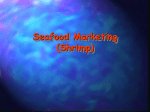 Lecture 10: Seafood Marketing