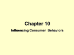 Chapter 10 Influencing Consumer Behaviors Approaches to