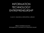information technology entrepreneurshp