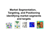 Segmentation__Targeting__and_Positioning