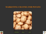 9.MARKETING CHANNEL FOR POTATO