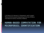 Human-Based Computation for Microfossil Identification