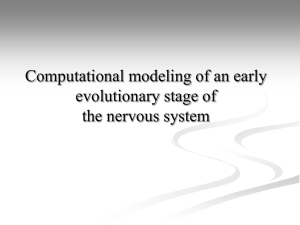 Computational modeling of an early evolutionary stage of