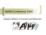 AMAM Conference 2005