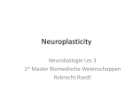 Neuroplasticity