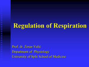 Regulation of Respiration