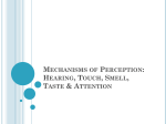 Mechanisms of Perception: Hearing, Touch, Smell, Taste & Attention