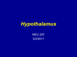Thalamus & Hypothalamus