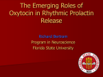 The Emerging Roles of Oxytocin in Rhythmic Prolactin Release