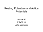 Resting Potentials and Action Potentials
