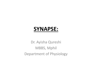 Synapse - MBBS Students Club