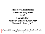 Histology Laboratories Molecules to Systems