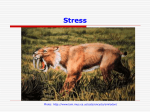 Stress Slides Class 5