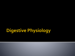 GIT-2,, Digestive Physiology