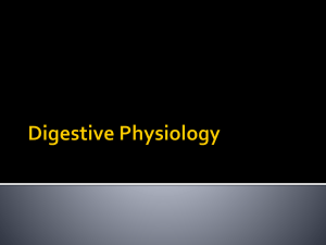 GIT-2,, Digestive Physiology