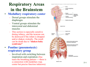 Chapter 23 - Anatomy Freaks