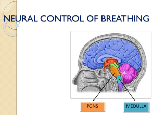Neural Control of Breathing (By Mohit Chhabra)