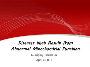 Mitochondrial Function