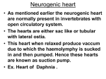 Neurogenic heart