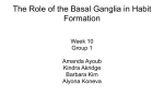 The Role of the Basal Ganglia in Habit Formation