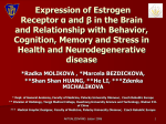 Expression of Estrogen Receptor α and β in the Brain and