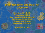 Brain Research and DLM: An Overview