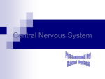Central Nervous System - Home Page of Ken Jones