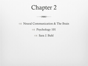 Introduction to Psychology