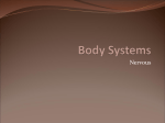 Body Systems - Bishop Ireton High School