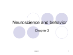 Neuroscience and behavior