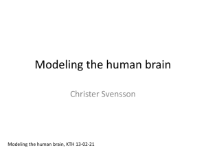 Modeling the brain