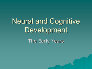 Neural and Cognitive Development