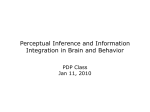 Information Integration and Decision Making in Humans and