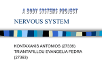 NERVOUS SYSTEM - Aristotle University of Thessaloniki