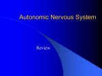 Autonomic Nervous System