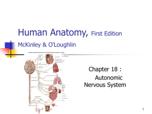 Human Anatomy, First Edition McKinley&O'Loughlin