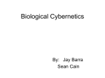 Biological Cybernetics