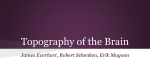 Topography of the Brain