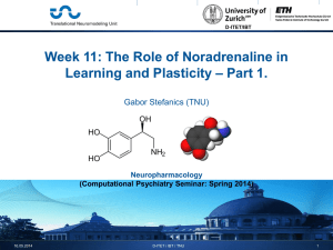 Computational Psychiatry Seminar: Spring 2014 Week 11: The