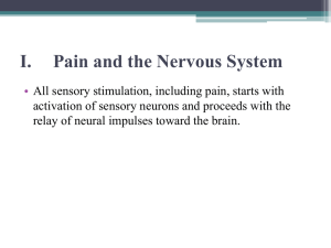 I. Pain and the Nervous System