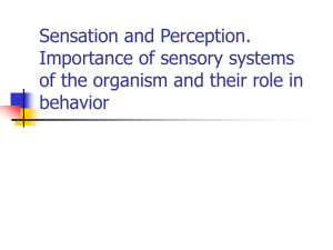 Sensory organs and perception