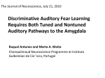 Discriminative Auditory Fear Learning Requires Both Tuned