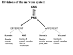 PNS Terminology