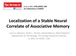 Localization of a Stable Neural Correlate of Associative