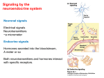 Lehninger Principles of Biochemistry 5/e