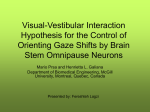 Visual-Vestibular Interaction Hypothesis for the Control