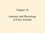 Chapter 1: Animal Agriculture