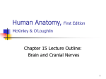 Human Anatomy, First Edition McKinley&O'Loughlin