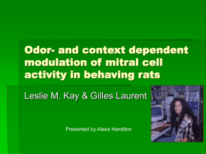 Odor- and context dependent modulation of mitral cell